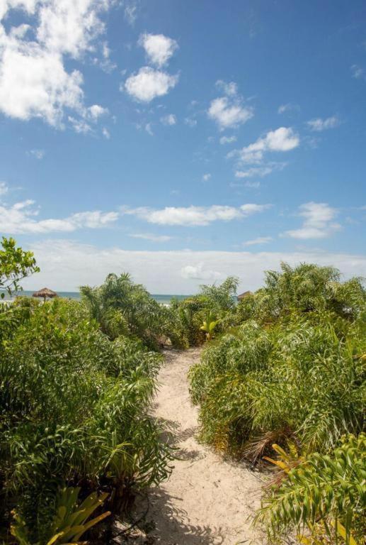 Cond Praia Da Perola - Apt Rosa 7 Ilhéus Eksteriør billede